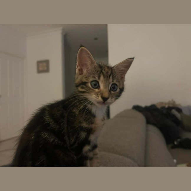 Photo of Tabitha