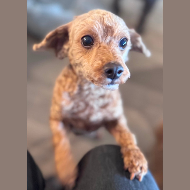 Photo of Charlie