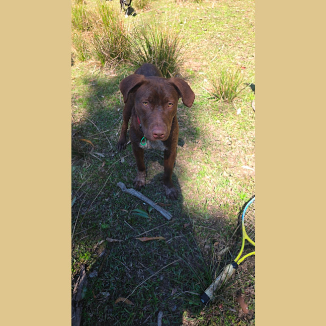 Photo of Cino