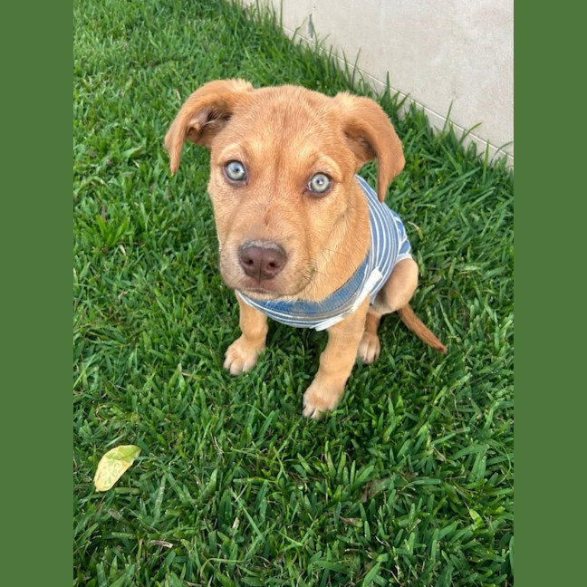 Photo of Hazel