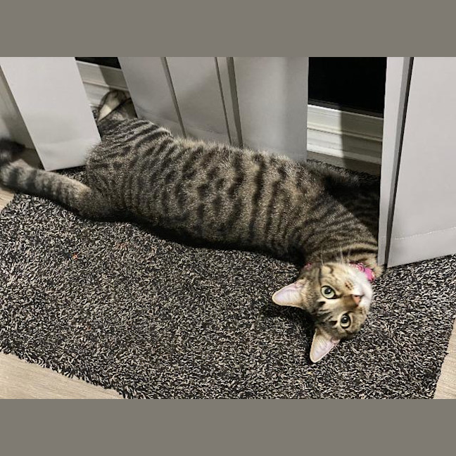 Photo of Kizzie