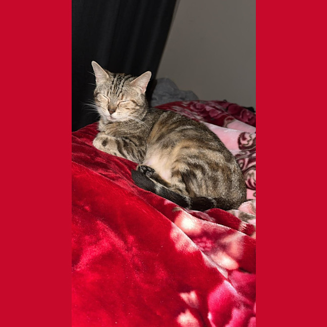 Photo of Angel