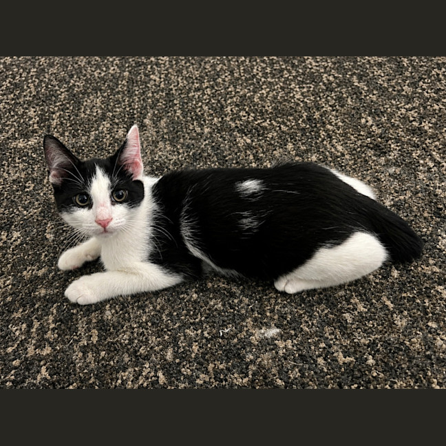 Photo of Bobby