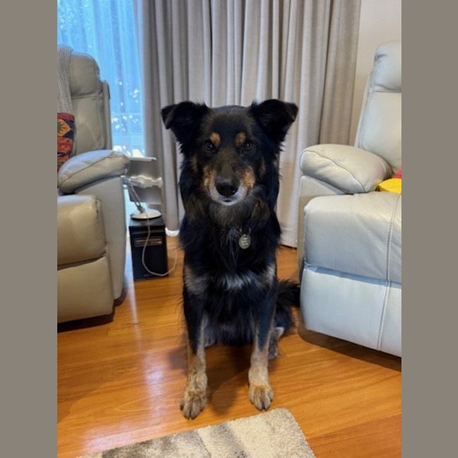 Photo of Bixby