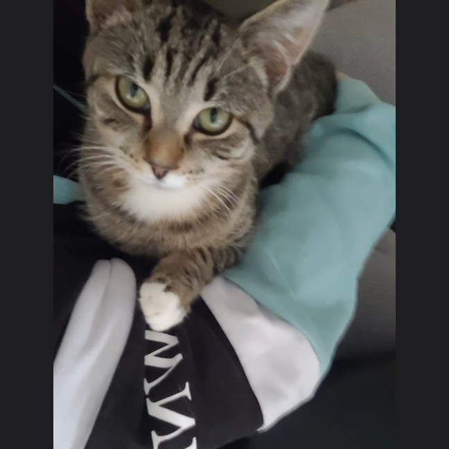 Photo of Molly
