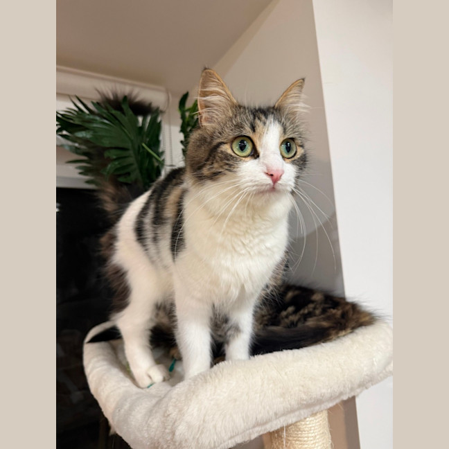 Photo of Duchess