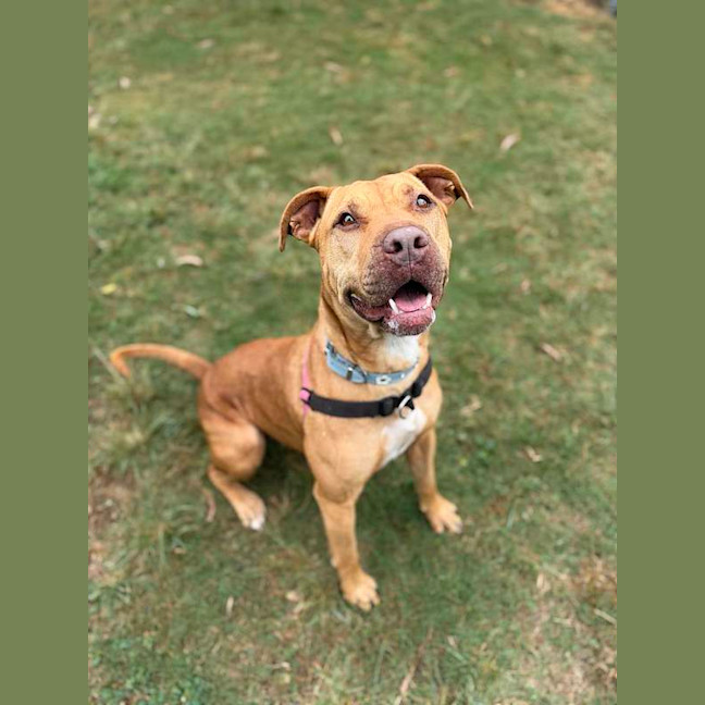 Photo of Rizzo
