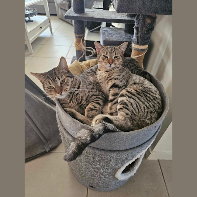 Photo of Mia And Frankie 