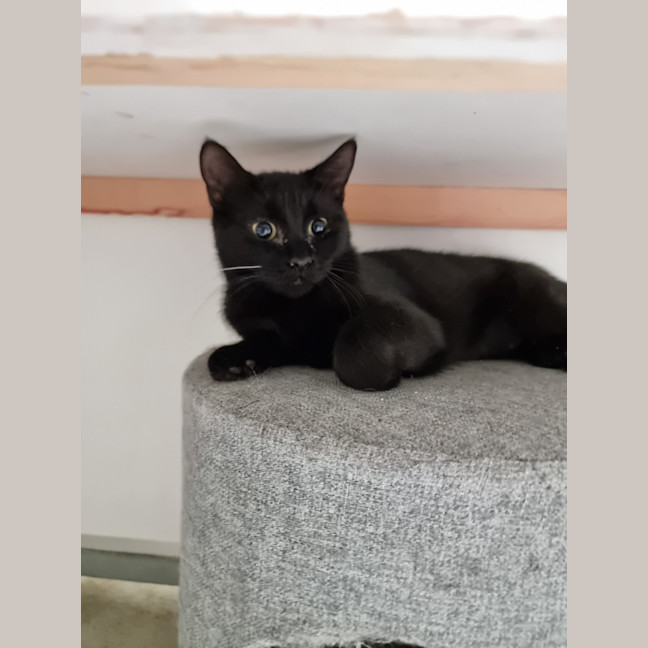 Photo of Eve