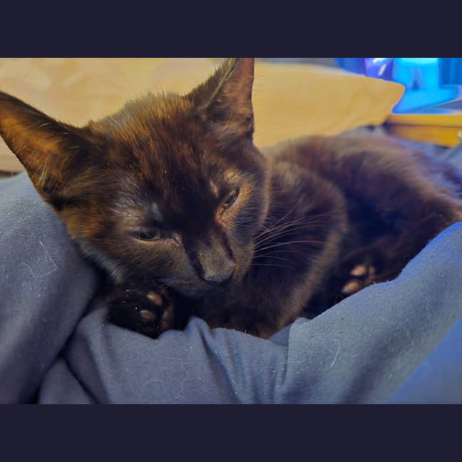 Photo of The Void!! 🐈‍⬛