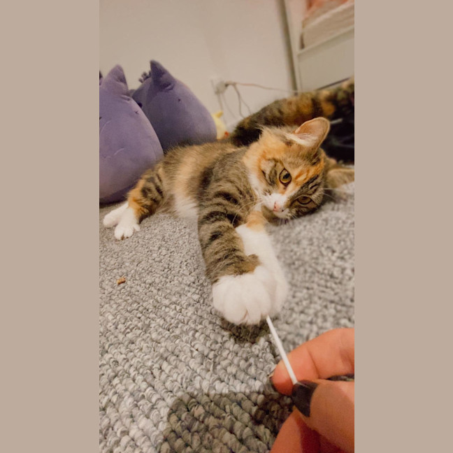 Photo of Heka