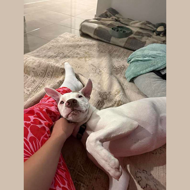 Photo of Max