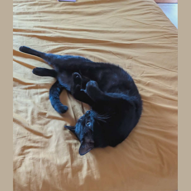 Photo of Kiko