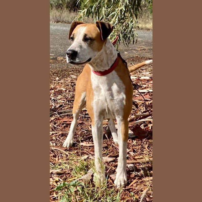 Photo of Ruby
