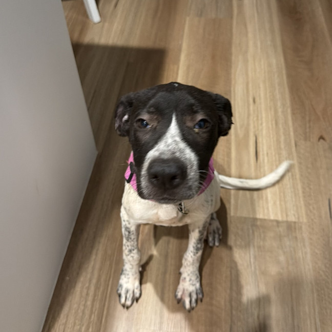 Photo of Lyka