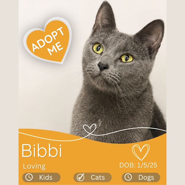 Photo of Bibbi