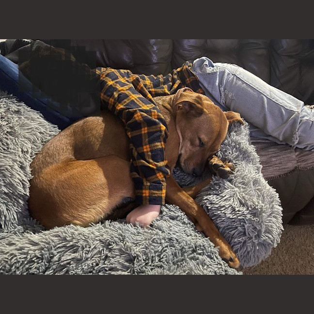 Photo of Zoe