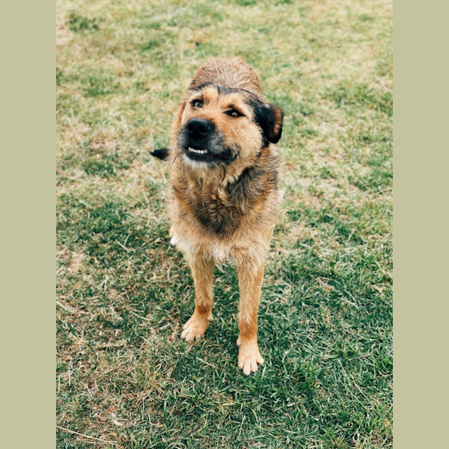 Photo of Nelly