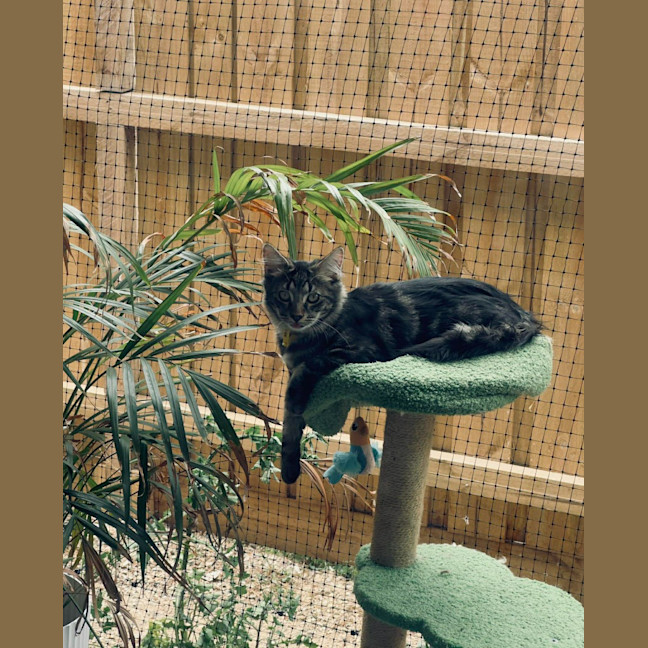 Photo of Buffy