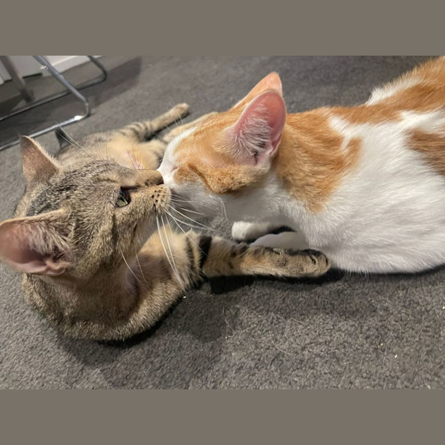 Photo of Atun And Arenita 