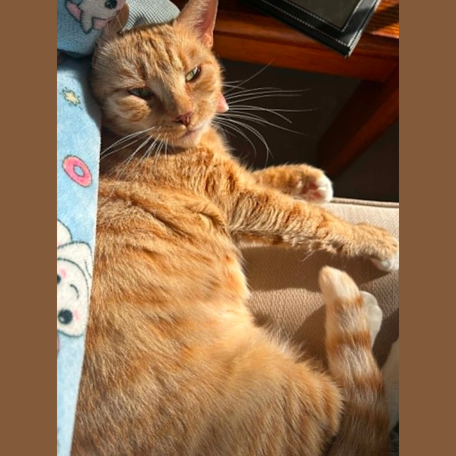 Photo of Mishka