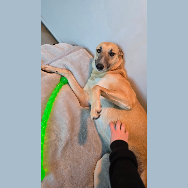 Photo of Zena
