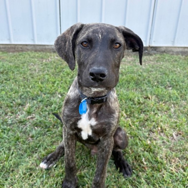 Photo of Thor