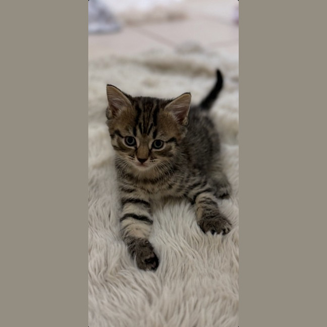 Photo of Eggnog