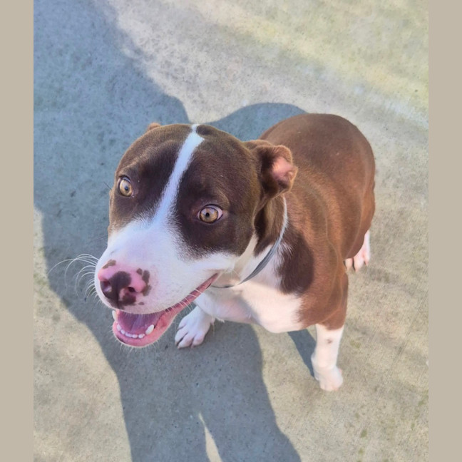 Photo of Cindy (8883)