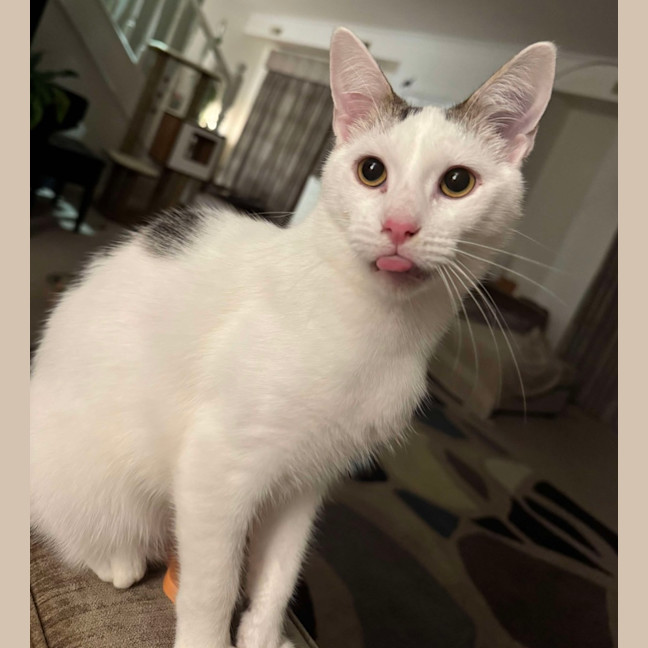 Photo of Wilson 🤍