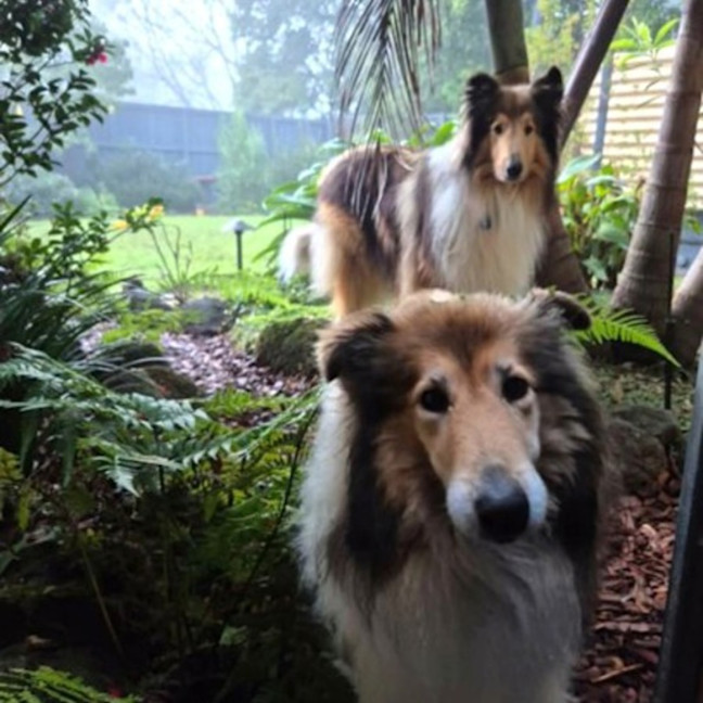 Photo of Buddy & Lilly