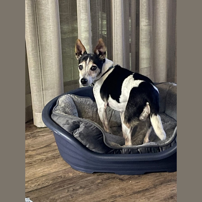 Photo of Billy 