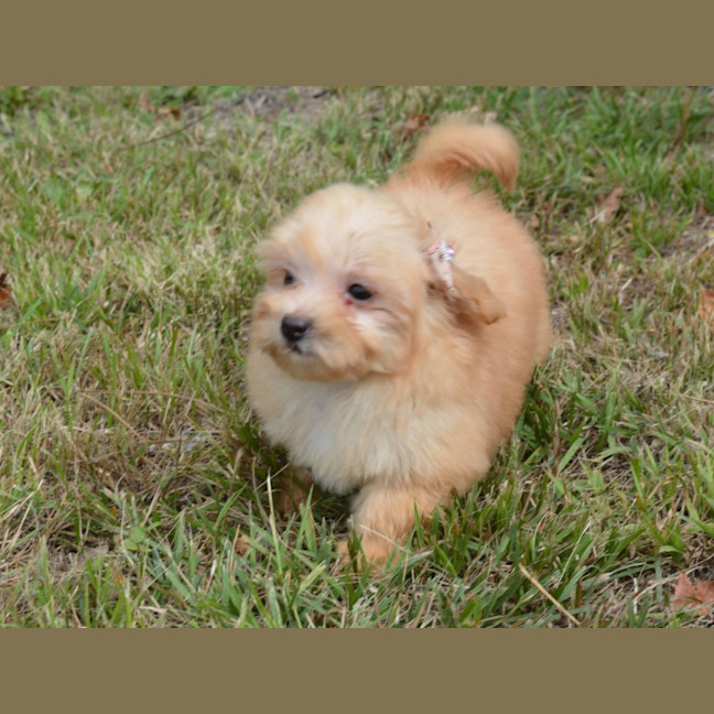 Photo of Matilda