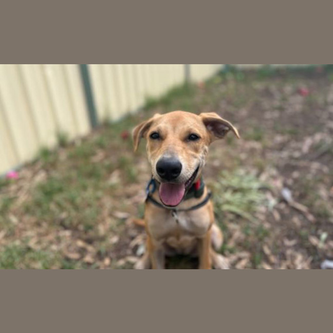 Photo of Jessie