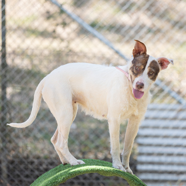 Photo of Bella