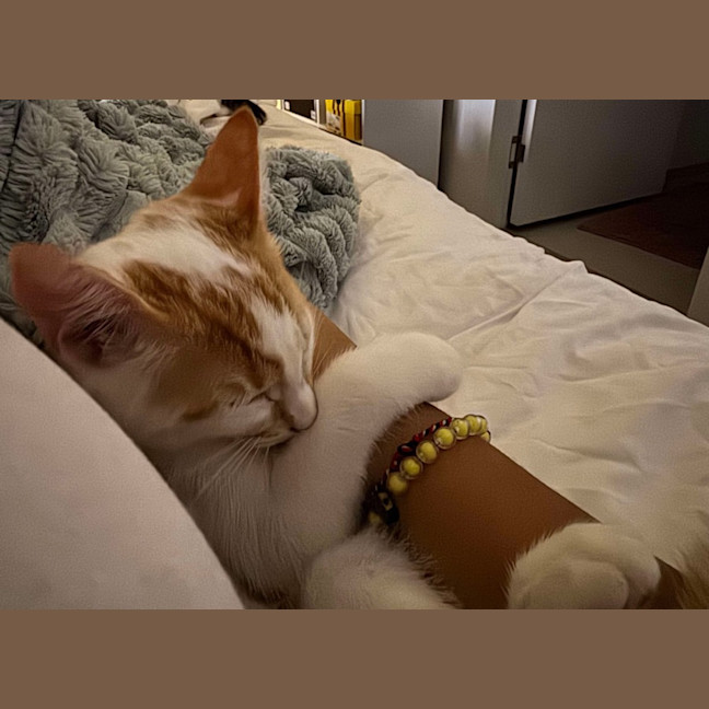 Photo of Tink & Bella 