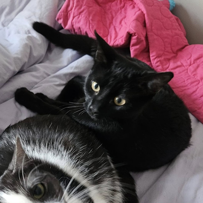 Photo of Halle Berry