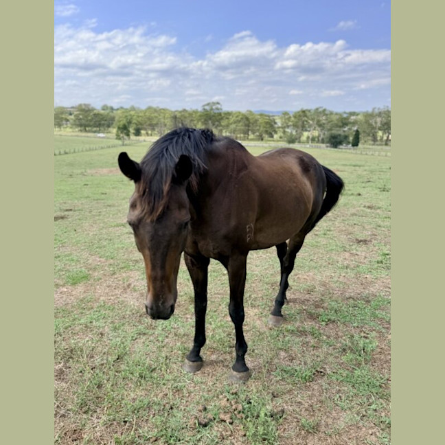 Photo of Gatsby
