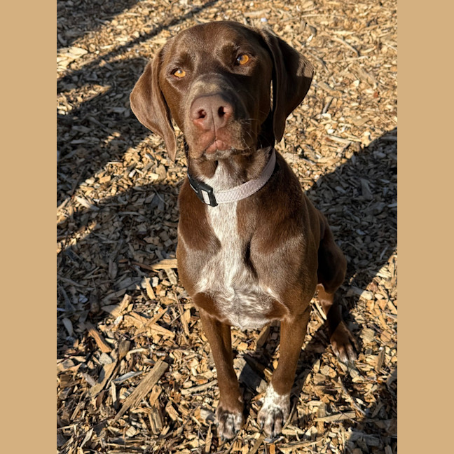 Photo of Boone
