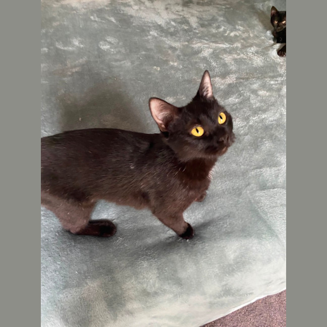 Photo of Bonnie