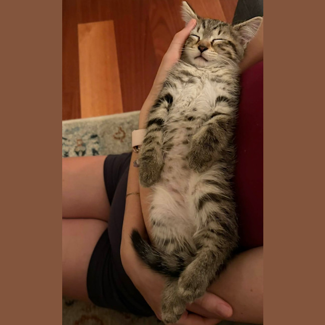 Photo of Twix 