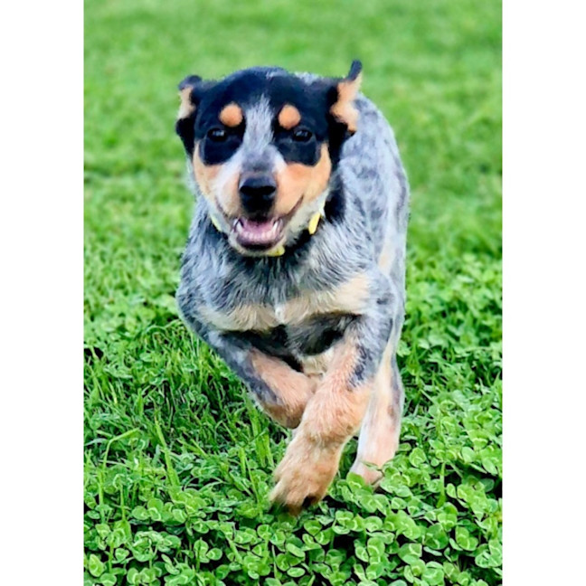 Photo of Wiggle 