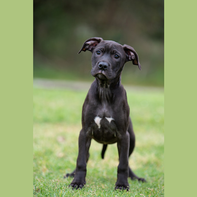 Photo of Matilda