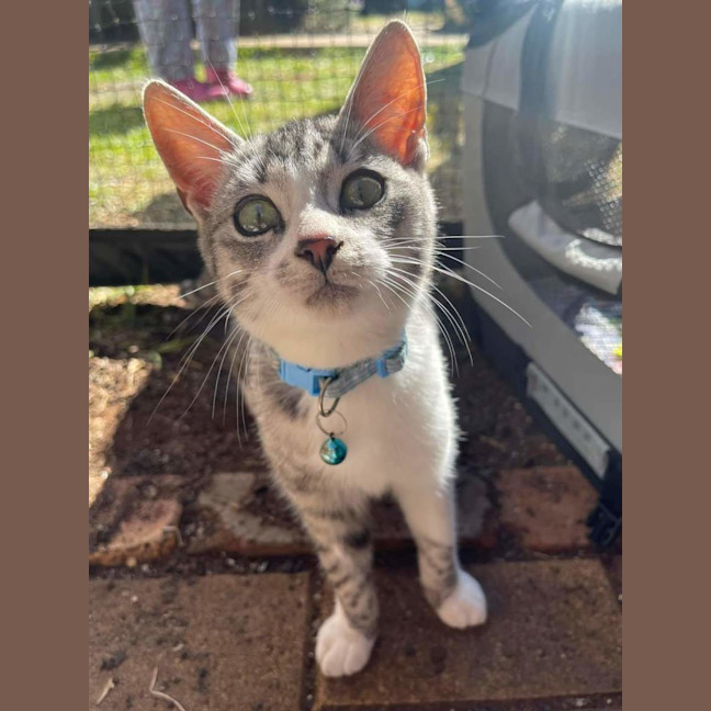 Photo of Earl