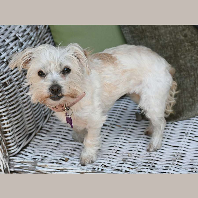 Photo of Minnie