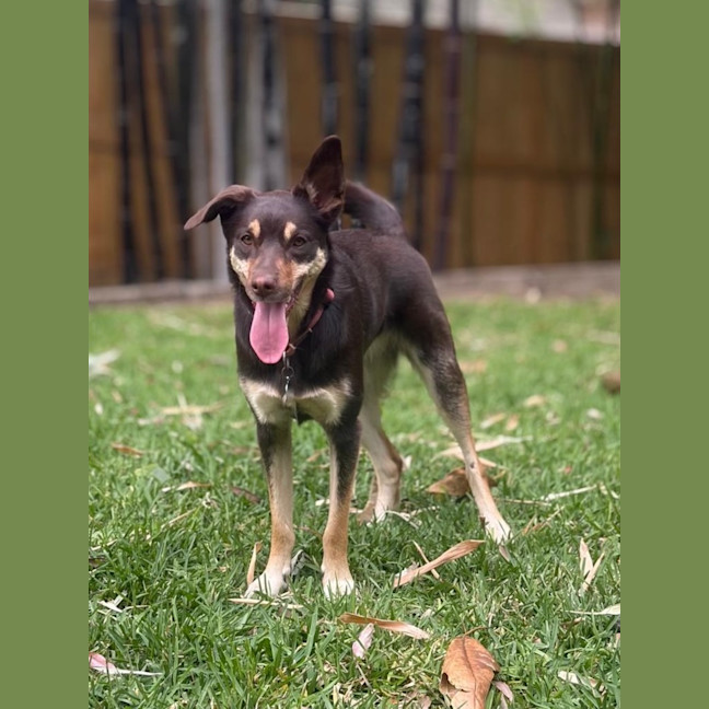 Photo of Bronte