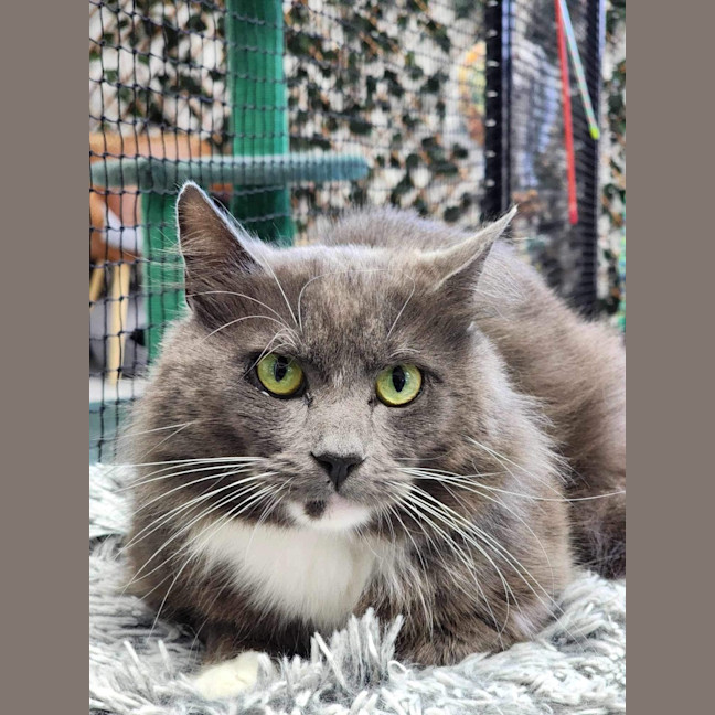 Photo of ✈ Reuben 5603 ✈