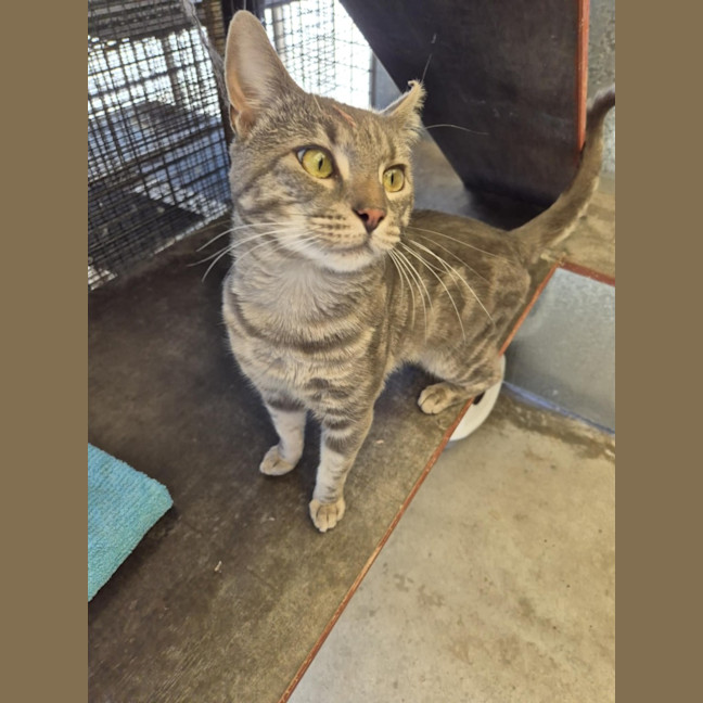 Photo of Draco! 🎩