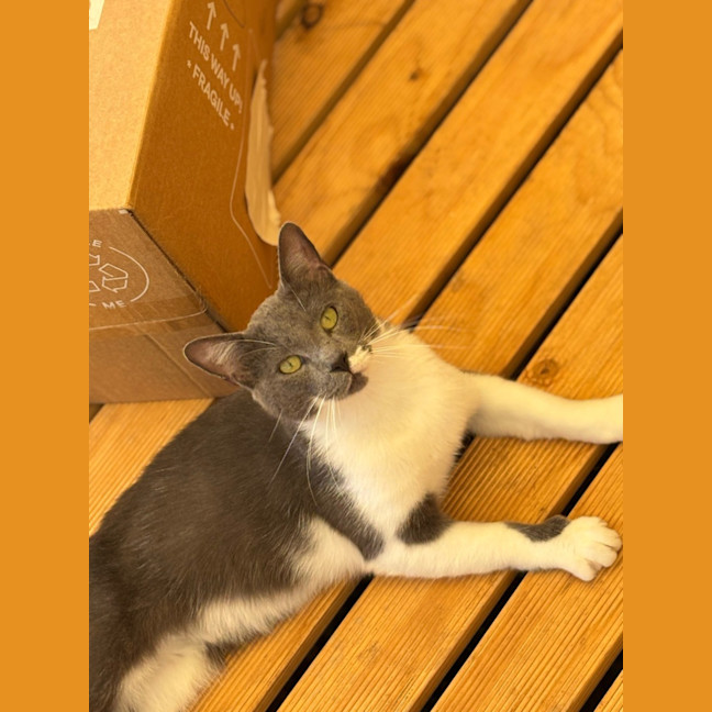 Photo of Steve