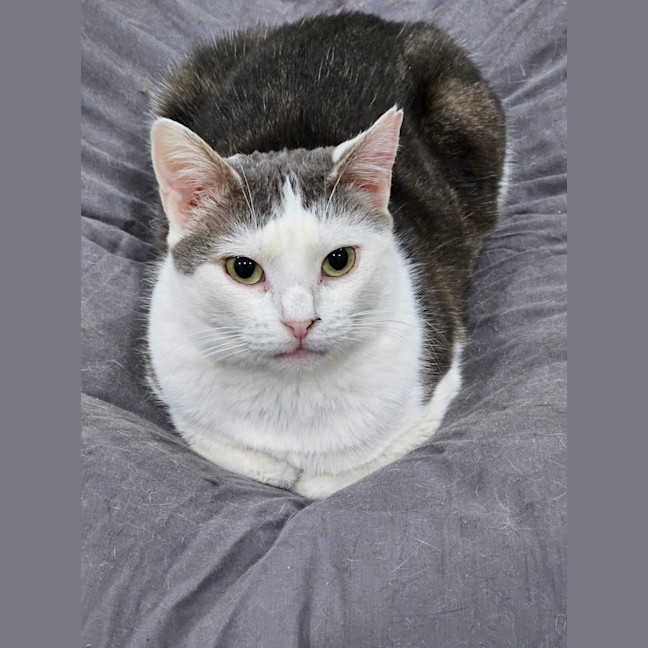 Photo of Mabel